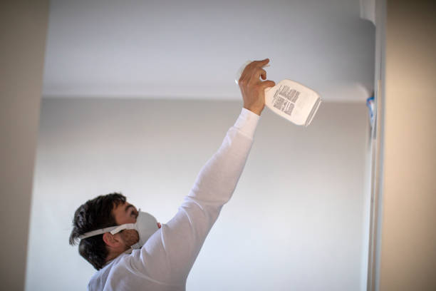Best Mold Testing and Inspection Services in Gadsden, AL