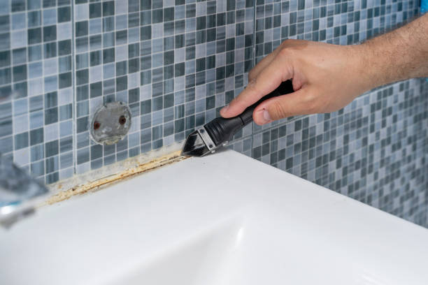 Best Kitchen Mold Remediation in Gadsden, AL